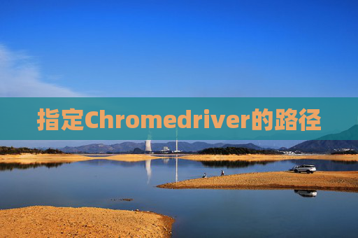 指定Chromedriver的路径
